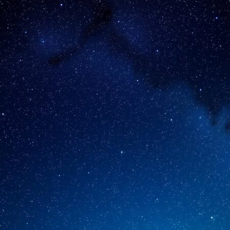 星光熠熠的滿天星娛樂城