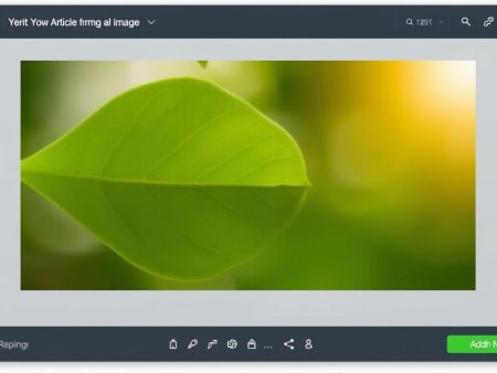 搶先看!最新娛樂城推薦 dcard 熱門話題