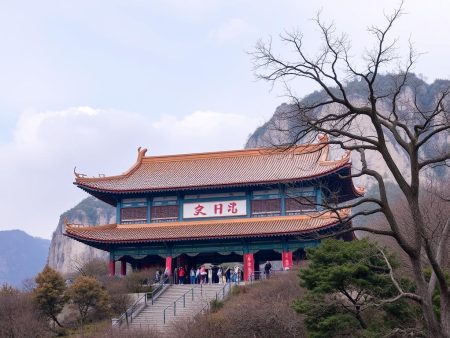 tu娛樂城會出金嗎？這裡揭秘！